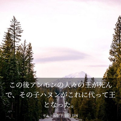 Picture 03 - サムエル記下 10:1 JPN - この後アンモンの人々の王が死んで - Bible Verse Picture