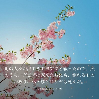 Picture 03 - サムエル記下 11:17 JPN - 町の人々が出てきてヨアブと戦った - Bible Verse Picture