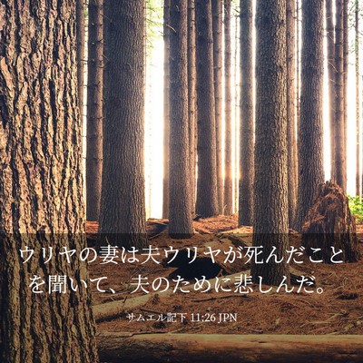 Picture 03 - サムエル記下 11:26 JPN - ウリヤの妻は夫ウリヤが死んだこと - Bible Verse Picture