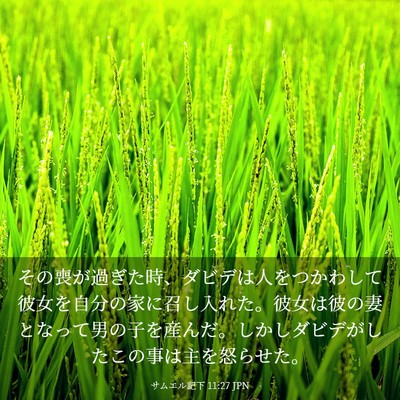 Picture 03 - サムエル記下 11:27 JPN - その喪が過ぎた時、ダビデは人をつ - Bible Verse Picture