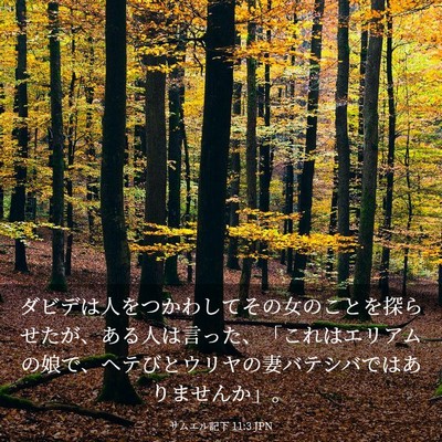Picture 03 - サムエル記下 11:3 JPN - ダビデは人をつかわしてその女のこ - Bible Verse Picture