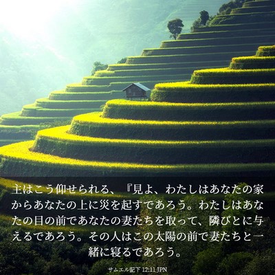 Picture 03 - サムエル記下 12:11 JPN - 主はこう仰せられる、『見よ、わた - Bible Verse Picture