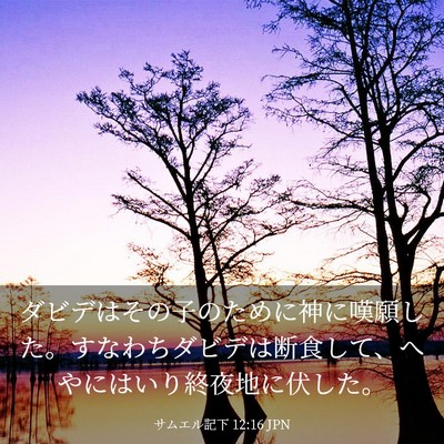 Picture 03 - サムエル記下 12:16 JPN - ダビデはその子のために神に嘆願し - Bible Verse Picture