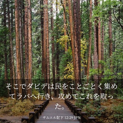 Picture 03 - サムエル記下 12:29 JPN - そこでダビデは民をことごとく集め - Bible Verse Picture