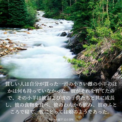 Picture 03 - サムエル記下 12:3 JPN - 貧しい人は自分が買った一頭の小さ - Bible Verse Picture