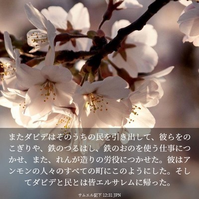Picture 03 - サムエル記下 12:31 JPN - またダビデはそのうちの民を引き出 - Bible Verse Picture
