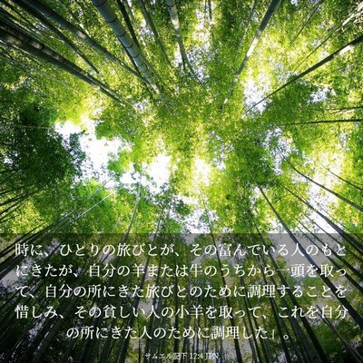 Picture 03 - サムエル記下 12:4 JPN - 時に、ひとりの旅びとが、その富ん - Bible Verse Picture