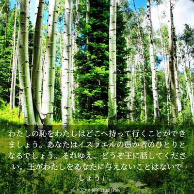 Picture 03 - サムエル記下 13:13 JPN - わたしの恥をわたしはどこへ持って - Bible Verse Picture