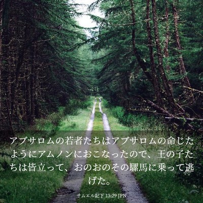 Picture 03 - サムエル記下 13:29 JPN - アブサロムの若者たちはアブサロム - Bible Verse Picture