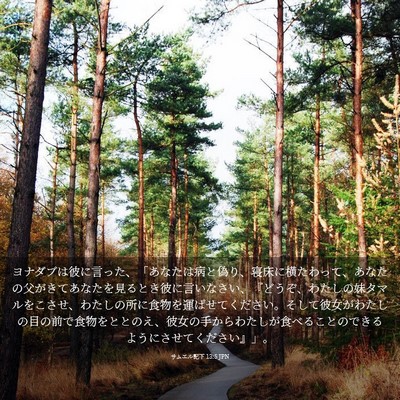 Picture 03 - サムエル記下 13:5 JPN - ヨナダブは彼に言った、「あなたは - Bible Verse Picture