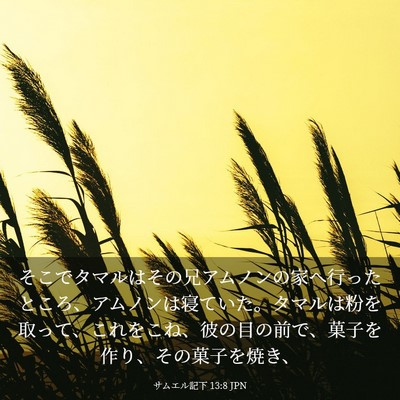 Picture 03 - サムエル記下 13:8 JPN - そこでタマルはその兄アムノンの家 - Bible Verse Picture