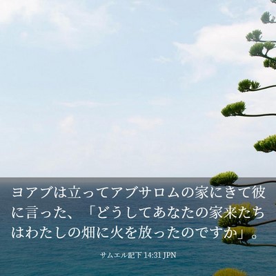 Picture 03 - サムエル記下 14:31 JPN - ヨアブは立ってアブサロムの家にき - Bible Verse Picture