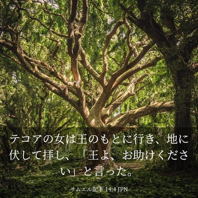 Picture 03 - サムエル記下 14:4 JPN - テコアの女は王のもとに行き、地に - Bible Verse Picture