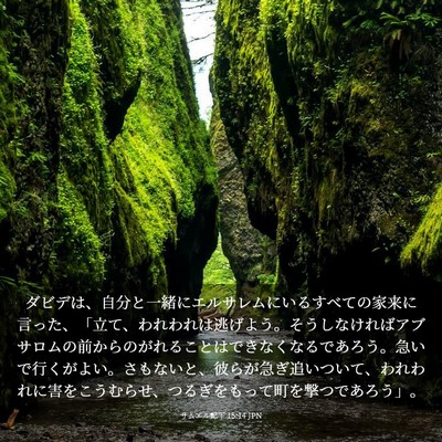 Picture 03 - サムエル記下 15:14 JPN - ダビデは、自分と一緒にエルサレム - Bible Verse Picture