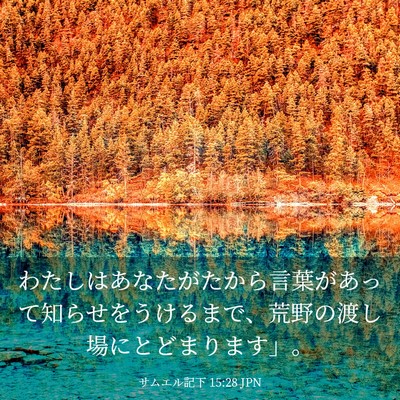 Picture 03 - サムエル記下 15:28 JPN - わたしはあなたがたから言葉があっ - Bible Verse Picture