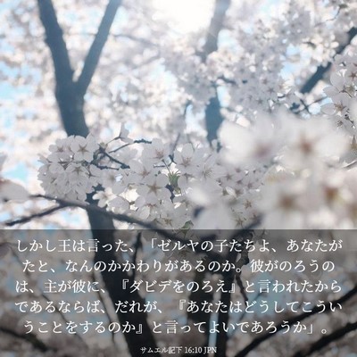 Picture 03 - サムエル記下 16:10 JPN - しかし王は言った、「ゼルヤの子た - Bible Verse Picture