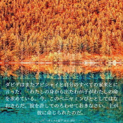 Picture 03 - サムエル記下 16:11 JPN - ダビデはまたアビシャイと自分のす - Bible Verse Picture