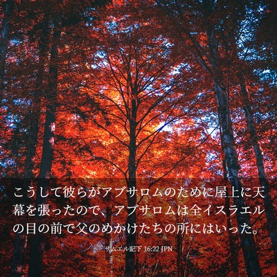Picture 03 - サムエル記下 16:22 JPN - こうして彼らがアブサロムのために - Bible Verse Picture