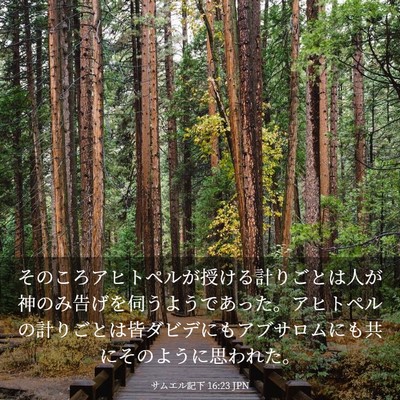 Picture 03 - サムエル記下 16:23 JPN - そのころアヒトペルが授ける計りご - Bible Verse Picture