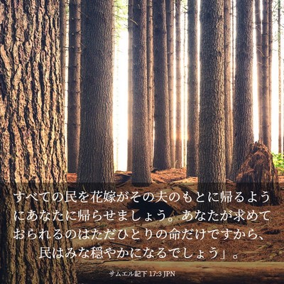 Picture 03 - サムエル記下 17:3 JPN - すべての民を花嫁がその夫のもとに - Bible Verse Picture