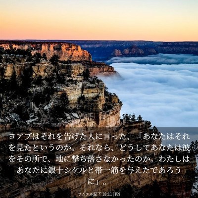 Picture 03 - サムエル記下 18:11 JPN - ヨアブはそれを告げた人に言った、 - Bible Verse Picture