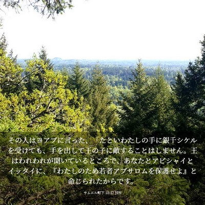 Picture 03 - サムエル記下 18:12 JPN - その人はヨアブに言った、「たとい - Bible Verse Picture