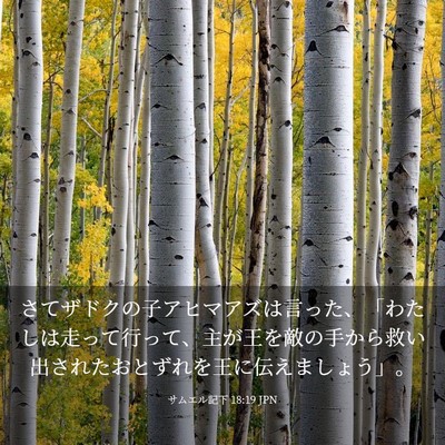 Picture 03 - サムエル記下 18:19 JPN - さてザドクの子アヒマアズは言った - Bible Verse Picture
