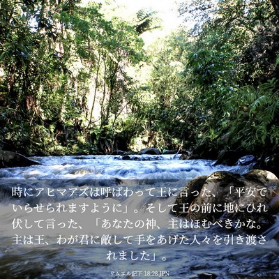 Picture 03 - サムエル記下 18:28 JPN - 時にアヒマアズは呼ばわって王に言 - Bible Verse Picture