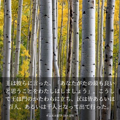 Picture 03 - サムエル記下 18:4 JPN - 王は彼らに言った、「あなたがたの - Bible Verse Picture