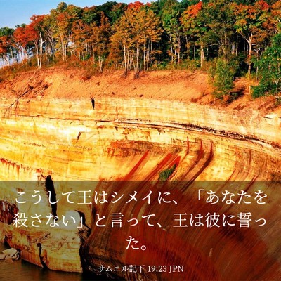 Picture 03 - サムエル記下 19:23 JPN - こうして王はシメイに、「あなたを - Bible Verse Picture