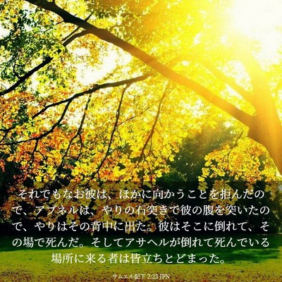 Picture 03 - サムエル記下 2:23 JPN - それでもなお彼は、ほかに向かうこ - Bible Verse Picture