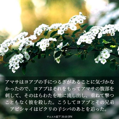 Picture 03 - サムエル記下 20:10 JPN - アマサはヨアブの手につるぎがある - Bible Verse Picture