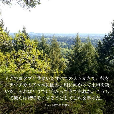 Picture 03 - サムエル記下 20:15 JPN - そこでヨアブと共にいたすべての人 - Bible Verse Picture