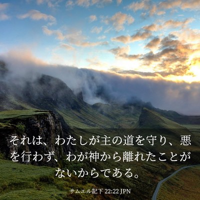 Picture 03 - サムエル記下 22:22 JPN - それは、わたしが主の道を守り、悪 - Bible Verse Picture
