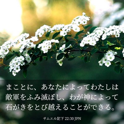 Picture 03 - サムエル記下 22:30 JPN - まことに、あなたによってわたしは - Bible Verse Picture