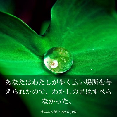 Picture 03 - サムエル記下 22:37 JPN - あなたはわたしが歩く広い場所を与 - Bible Verse Picture
