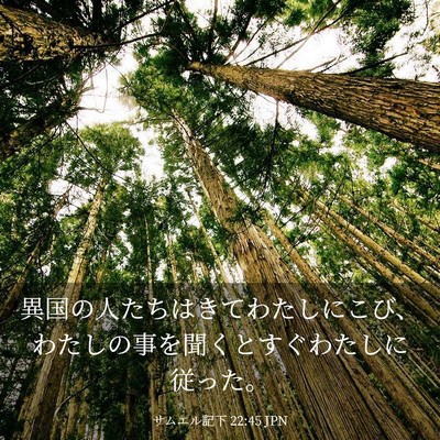 Picture 03 - サムエル記下 22:45 JPN - 異国の人たちはきてわたしにこび、 - Bible Verse Picture
