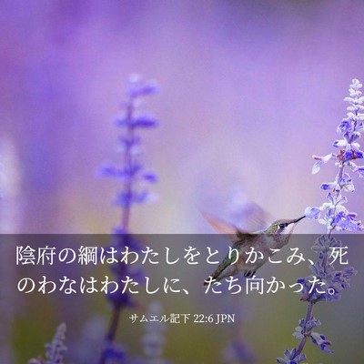 Picture 03 - サムエル記下 22:6 JPN - 陰府の綱はわたしをとりかこみ、死 - Bible Verse Picture