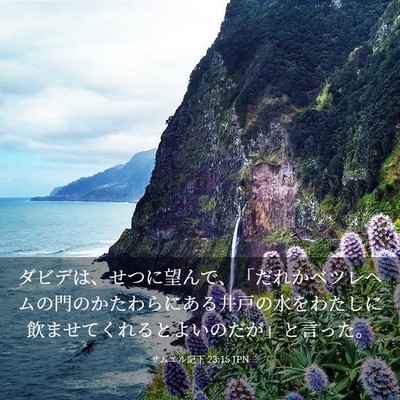 Picture 03 - サムエル記下 23:15 JPN - ダビデは、せつに望んで、「だれか - Bible Verse Picture