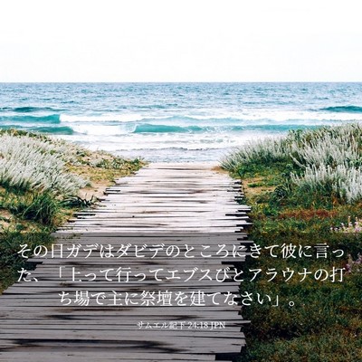 Picture 03 - サムエル記下 24:18 JPN - その日ガデはダビデのところにきて - Bible Verse Picture