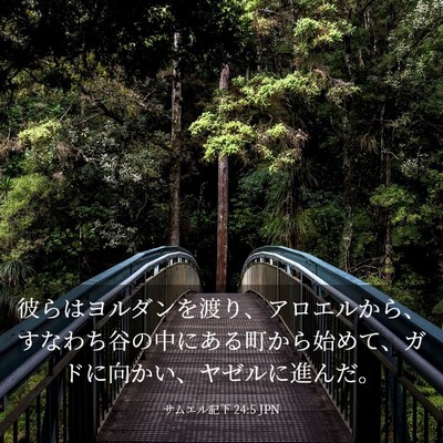 Picture 03 - サムエル記下 24:5 JPN - 彼らはヨルダンを渡り、アロエルか - Bible Verse Picture