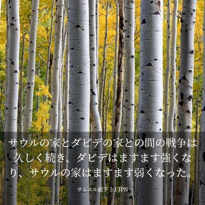 Picture 03 - サムエル記下 3:1 JPN - サウルの家とダビデの家との間の戦 - Bible Verse Picture