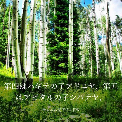Picture 03 - サムエル記下 3:4 JPN - 第四はハギテの子アドニヤ、第五は - Bible Verse Picture