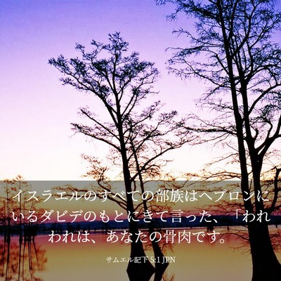 Picture 03 - サムエル記下 5:1 JPN - イスラエルのすべての部族はヘブロ - Bible Verse Picture
