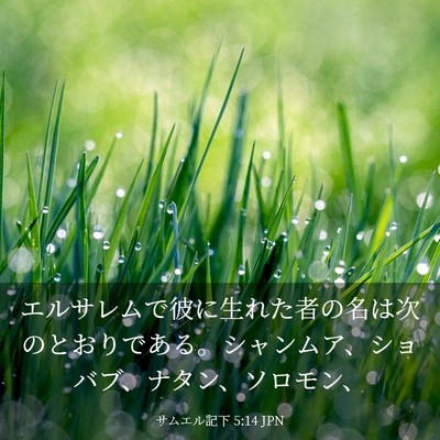 Picture 03 - サムエル記下 5:14 JPN - エルサレムで彼に生れた者の名は次 - Bible Verse Picture