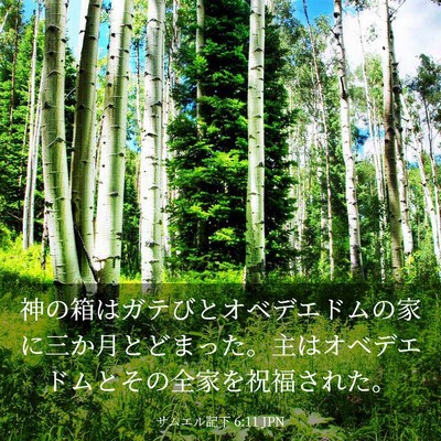 Picture 03 - サムエル記下 6:11 JPN - 神の箱はガテびとオベデエドムの家 - Bible Verse Picture