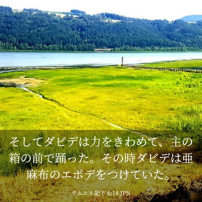 Picture 03 - サムエル記下 6:14 JPN - そしてダビデは力をきわめて、主の - Bible Verse Picture