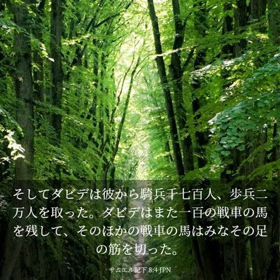 Picture 03 - サムエル記下 8:4 JPN - そしてダビデは彼から騎兵千七百人 - Bible Verse Picture