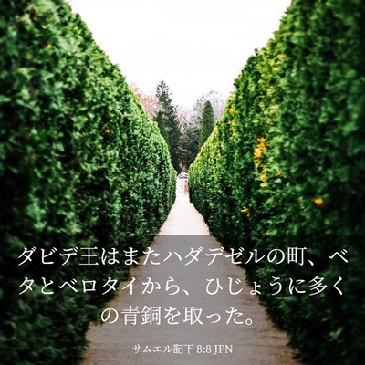 Picture 03 - サムエル記下 8:8 JPN - ダビデ王はまたハダデゼルの町、ベ - Bible Verse Picture