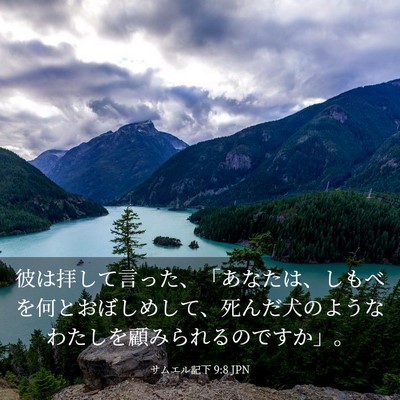 Picture 03 - サムエル記下 9:8 JPN - 彼は拝して言った、「あなたは、し - Bible Verse Picture